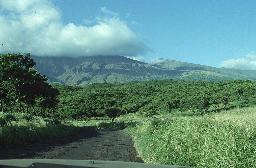Haleakala Back