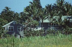 Tropic-House